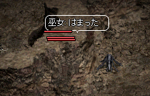 画像：アリ穴でハマる